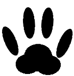 Paw Print